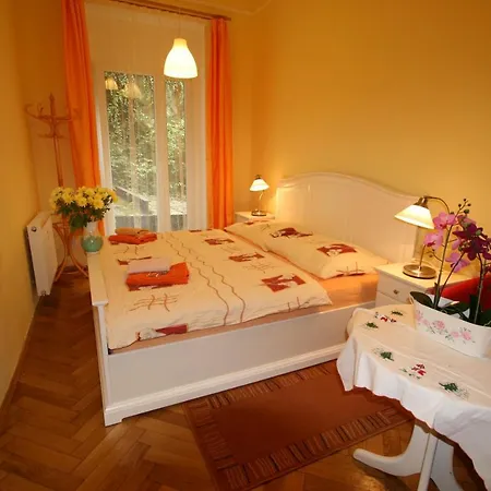 No. 12 Trziste 29 Apartment Karlovy Vary