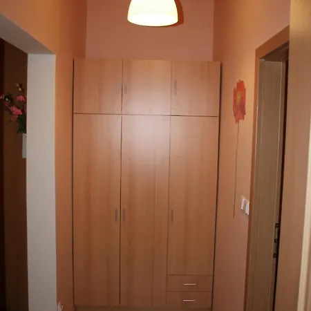 No. 12 Trziste 29