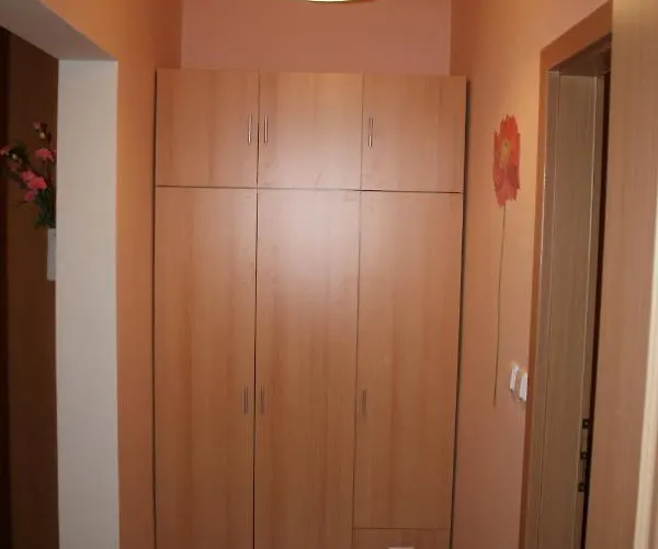 No. 12 Trziste 29